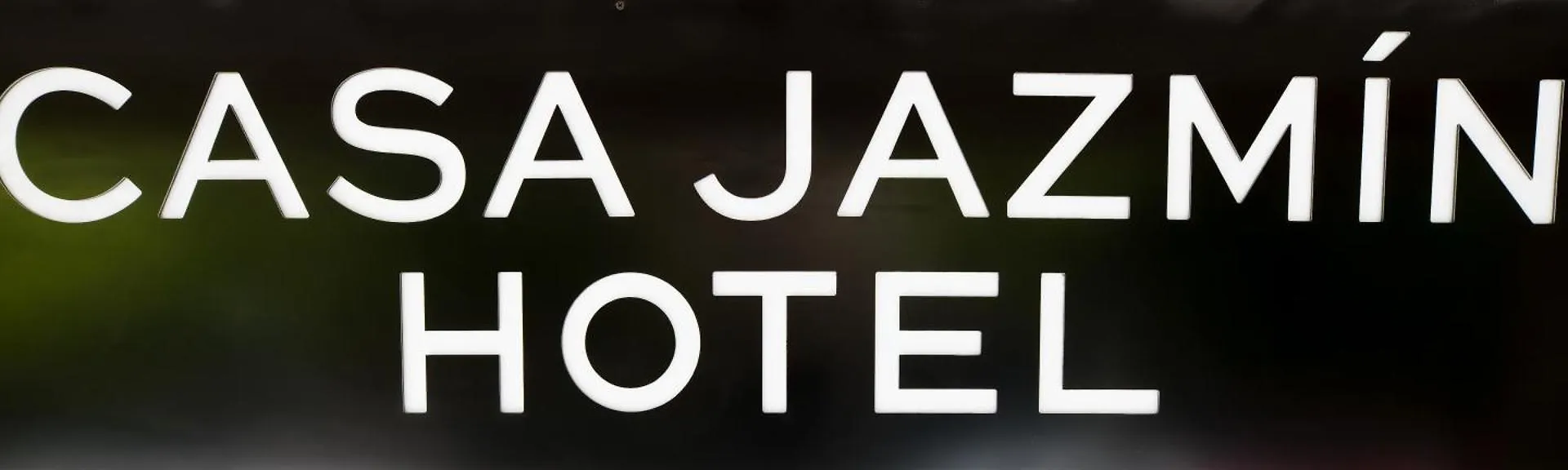 Hotel Casa Jazmin グラナダ